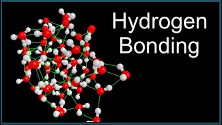 Hydrogen Bonding in Water [upl. by Saxe683]