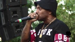 Mobb Deep live at Queensbridge Park on July 17 2014 [upl. by Ahsitniuq350]