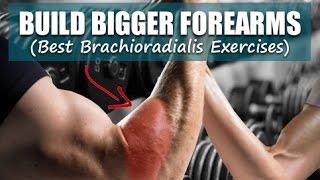 Build Bigger Forearms Best Brachioradialis Exercises [upl. by Fiorenza]