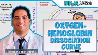 Respiratory  OxygenHemoglobin Dissociation Curve [upl. by Carberry25]