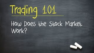 Trading 101 How Does the Stock Market Work [upl. by Eiraminot458]