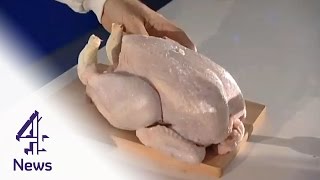 See how the Campylobacter chicken bug spreads in a kitchen  Channel 4 News [upl. by Sinnard]