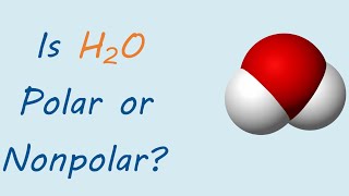 Is H2O polar or nonpolar [upl. by Ahsirpac]