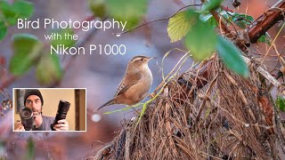 Nikon Coolpix P1000 for bird photography and birdwatching review [upl. by Akirdnas]