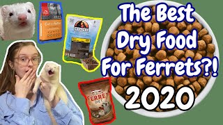 THE BEST DRY FOOD FOR FERRETS 2020  Pazuandfriends [upl. by Juieta]