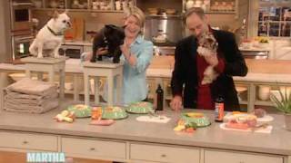 Healthy Pet Food ⎢Dr Marty Goldstein ⎢Martha Stewart [upl. by Ilat]