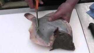 Passionate About Fish  How to skin and prepare a whole plaice [upl. by Burn507]