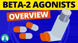 Beta2 Adrenergic Agonists Medications OVERVIEW  Bronchodilators [upl. by Peony]