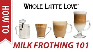 Milk Frothing for Beginners [upl. by Drarig]