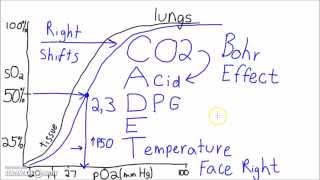 Physiology  The Oxygen–Hemoglobin Dissociation Curve [upl. by Gunas]