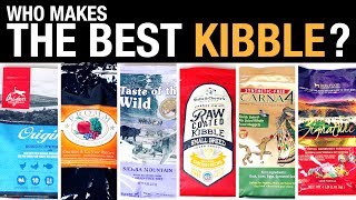 The Pet Food Kibble Review [upl. by Libby]