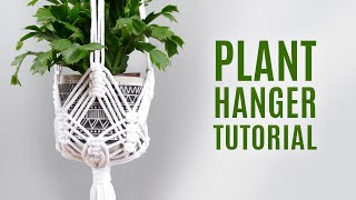 Macrame Plant Hanger DIY How to Start Plant Hanger [upl. by Enaols]