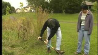 StormwaterPA Riparian Buffer Restoration [upl. by Sined]