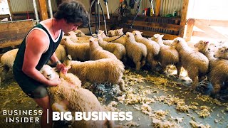 How NZ Farmers Shear 25000 Sheep In 10 Days  Big Business [upl. by Graubert273]