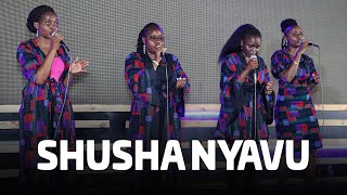 Shusha Nyavu Cover [upl. by Ahsinwad]