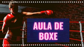 Aula de Boxe Técnicas Movimentos e Fundamentos do Boxe [upl. by Meyers]