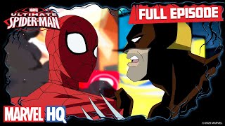 Freaky  Ultimate SpiderMan S1 E10  Full Episode [upl. by Fanya]