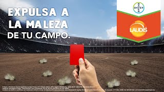 Expulsa a la maleza de tu campo con Laudis® [upl. by Sacks]