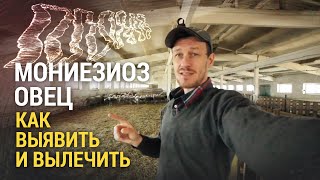 Мониезиоз овец Как выявить и вылечить [upl. by Nahtanaj]