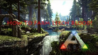 HOW TO GET LEECH BLOOD HOW TO FIND LEECHES IN ARK SURVIVAL EVOLVED  Xbox One PS4 PC EASY [upl. by Rodmun120]