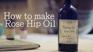 How to make Rose Hip infused Oil antiageing facial oil [upl. by Clarissa608]