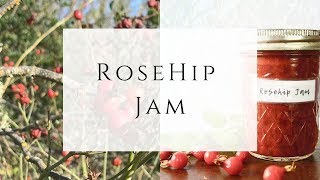 Homemade Rosehip Jam from wild Rose Hips [upl. by Eciryt]