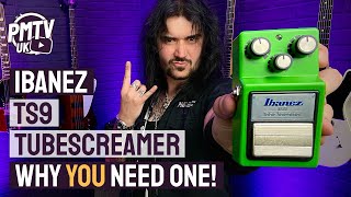 Ibanez TS9 Tubescreamer  The MUST HAVE Overdrive Pedal  Review amp Demo [upl. by Eiwoh]