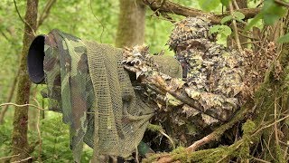 BIRD PHOTOGRAPHY in the forest  Wildlife photography behind the scenes  Nikon Z7 FTZ camouflage [upl. by Nylyaj]