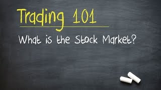 Trading 101 What is the Stock Market [upl. by Sirref650]