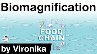 What is Biomagnification Difference in Biomagnification Bioaccumulation amp Bioconcentration UPSC [upl. by Johan552]