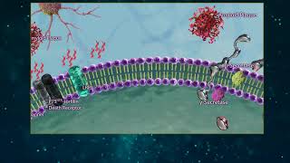 Amyloid Beta Processing [upl. by Aloise368]