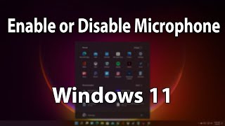 How to Enable or Disable Microphone Access in Windows 11 [upl. by Oiratno973]