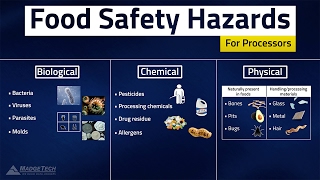 HACCP Food Safety Hazards [upl. by Smaj]