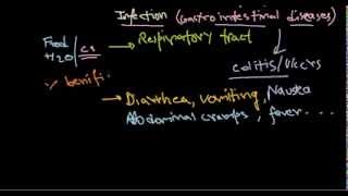 Campylobacter infection [upl. by Gaither53]