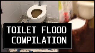 TOILET FLOOD COMPILATION [upl. by Edivad966]