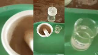 Plant protoplast isolation [upl. by Amzaj]