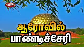 Auroville Puducherry  Travel Guide  Auroville Experience [upl. by Esiom]