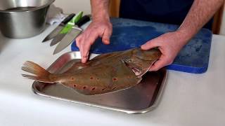 How to Prepare Plaice  Hastings Fish [upl. by Clayson]