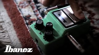 Ibanez TS9 Tube Screamer [upl. by Hayott135]