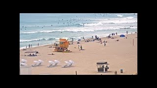 Miami Beach South Beach Webcam [upl. by Suoirtemed]