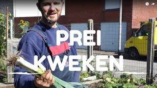 Prei kweken van zaaien tot oogsten [upl. by Garold838]