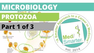 Protozoa  Microbiology  USMLE STEP 1  Part 1 of 3 [upl. by Eph869]