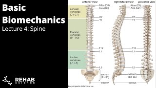 Biomechanics Lecture 4  Spine [upl. by Idnar]