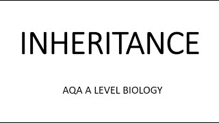 INHERITANCE  AQA A LEVEL BIOLOGY  EXAM QUESTIONS RUN THROUGH [upl. by Allenaj135]