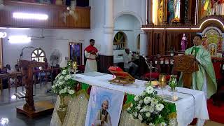 Holy Mass Live Stream [upl. by Alicea]