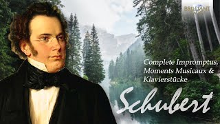 Schubert Complete Impromptus Moments Musicaux amp Klavierstücke [upl. by Rehsu763]