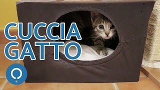 Cuccia gatto fai da te  Attività manuali per gatti [upl. by Areivax]