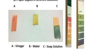 How does pH Paper Work [upl. by Otrebmuh]