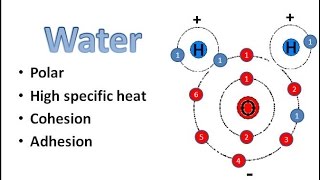 Water Chemistry [upl. by Plato]