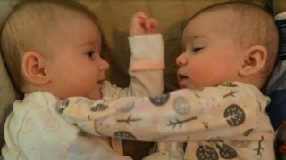 3 MONTH OLD TWINS FIRST FIGHT [upl. by Gerita]